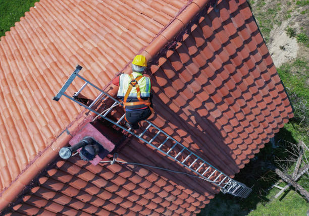 Best Roof Moss and Algae Removal  in Santa Clara, CA